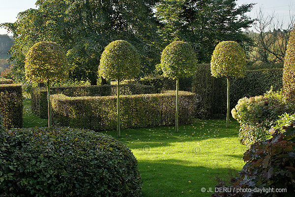 jardin garden